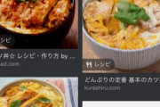 ワイ『カツ丼１杯！』店主「はいよ！（ドーン）」ワイ『…（レビューで星１、酷評っと）ポチポチ』 → そのカツ丼が…