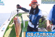 【日向坂46】上村ひなの、かなりやべぇレベルの大物アマダイを釣り上げてしまった模様wwww