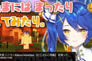 Vtuber 【天宮こころ】配信待機所にて酷すぎる荒らしが発生してしまった模様・・・ひどすぎる！！