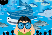 【画像】水族館の魚を観察している時、魚も人間を観察していた・・・