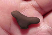 1万3500年前の鳥の彫像、東アジア最古か 研究