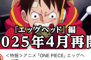 【悲報】アニメワンピース、10月から半年も放送休止する模様ｗｗｗｗｗｗｗ