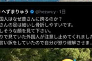 【悲報】へずまりゅう議員がポストした中国人が鹿を虐める画像、捏造AI合成疑惑がかけられる→本人は否定ｗｗｗｗ