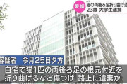 猫の両足をへし折って放置した大学生(23)を逮捕　自宅から虐待道具を複数発見　付近では猫の不審死相続く