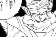 ピッコロが好きな人【ドラゴンボール】