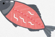【悲報】ワイ将、寄生虫「アニサキス」が怖くて魚を食べられなくなる