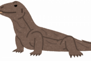 コモドドラゴンとかいう危険な爬虫類