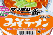 【悲報】サッポロ一番みそより旨い食べ物、この世にない