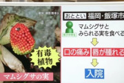 【悲報】男子中学生さん、道端に生えていた美味しそうな実を食べてしまい、食中毒に…