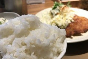 俺「ご飯おかわりするか」 ご飯マシン「ブリッ…ボトッ！ブリブリ…」 俺「……」