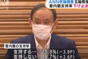 【悲報】菅ちゃん内閣支持率25.8%　…過去最低を更新