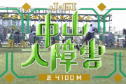 【中山大障害】メイショウダッサイ＆森一馬騎手がｷﾀ━━━━(ﾟ∀ﾟ)━━━━!!