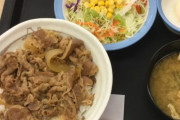 【朗報】松屋、290円で食費光熱費水道費通信費全部カバーして永住できることが判明！