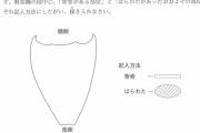 超名門中学入試「アジの開きです。背骨がある場所とはらわたのある場所を図示しなさい」