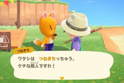『あつ森』で島に､つねきち来たんだけど絵画が本物かわからない