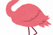 フラミンゴの真似をして片足をあげるアヒルｗｗｗｗｗｗｗｗｗｗｗｗｗｗｗ