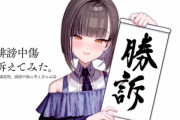 【悲報】人気VTuber「誹謗中傷？開示したろｗ」加害者「余談金は払わない」Ｖ「訴訟したろｗ」加害者「支払います…」→和解成立へｗｗｗ