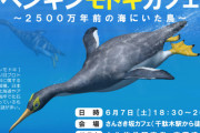 新種か？世界最古級「ペンギンモドキ(1800万年前に絶滅)」の化石見つかる