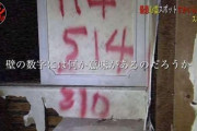 メディア「心霊スポットに114514という落書きが、きっと恐ろしい意味が込められてるんだね」