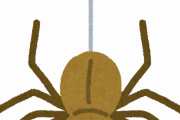 敵「蜘蛛はゴキブリとか食べてくれる益虫だから殺すな」←この謎理論