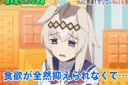 【ウマ娘】「マツコの知らない世界」にオグリキャップが出演したらどうなる？