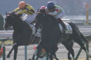 【競馬】もうさ、シーザリオには死ぬまでボリクリつけてろよ