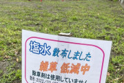 【画像】町内会長さん、除草剤代わりに塩水を公園に撒き炎上ｗｗｗｗｗｗ