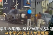 埼玉県三郷市で小学生がひき逃げされた事件 逃走の2人は中国籍の男か 同乗していたと見られる男から事情聞く