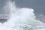【接近】台風８号が韓国・済州島接近　過去最強レベルの強風予報に緊張高まる
