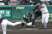阪神マルテ２年ぶり２桁弾「久しぶりに甲子園でラパンパラができた」