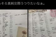 【画像】几帳面過ぎる女さん、婚活で出会った男たちの「身長と年収」を記録し過ぎて話題になる