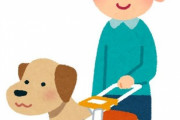 ワイ「盲導犬って可哀想…」盲導犬「ん？世間の誤解に吠えさせてもらいますわ」