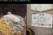 【画像】ジャンク油そば、ジャンクすぎるｗｗｗｗｗｗｗｗｗｗｗｗｗｗｗｗｗｗｗｗ