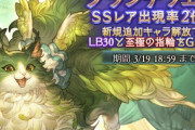 【グラブル】9周年無料ガチャ8日目、遂に突入したフェス期間！イーウィヤと水着を求めて1回でも多く引きたい時期