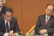 自民・二階幹事長「政府は北朝鮮に厳しい態度で臨むように」