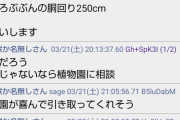 孫「祖母がコウモリラン育てました」 植物民ザワつく「世界クラス100万超えだぞ！」