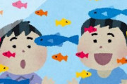 アクア民さん「熱帯魚屋さんで売れ残った魚たちってどこに行くの？」