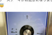 【悲報】チーズケーキ屋「新人に350度で焼けって言ったら素直に350℃で焼かれた…」ﾊﾟｼｬ