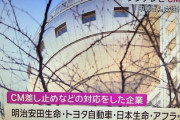 【速報】「2011フジテレビ抗議デモ」でも貫いた大口スポンサーの花王、CM停止!！ネット「アナ献上知ってんだろこれｗｗ」