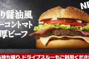 【悲報】マクドナルド、13都道府県でお持ち帰りしかできなくなる　20日～5月6日まで