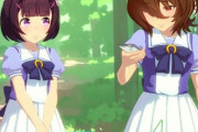 【ウマ娘】ウンスまたでたのになんでフラワー実装されないの←タキオンがいるからセイちゃんが全力で実装阻止してるよ