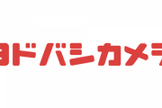 ヨドバシにイヤホン見に行ったらBluetoothイヤホンに占領されてて情けなくなった
