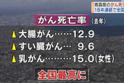 【悲報】がん死亡率16年連続で全国1位の県がここ