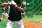 阪神・ロハス、助っ人で唯一練習参加！「少しでもチームに貢献したい」