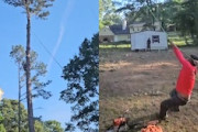 【動画】高い木を切り落とそうとした木こりたちの大失敗（ノ∇`）