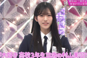 【櫻坂46】門限２０時、アニメゲーム一切やってないからのアイドル受ける人生って高低差ありすぎて耳キーン