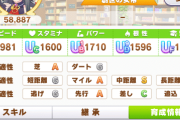 【ウマ娘】サポカの選択肢が非常に多い先行、今回とりあえず必須なサポカってどんなのがあるの？