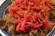 やっぱり吉野家の牛丼は美味すぎる