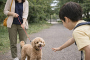 子供(3歳)「あ、犬だー！」飼い主「違うよ、ワンちゃんでしょ」犬は犬だよ、嘘教えないで欲しい