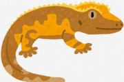 地球上から絶滅したと思われていたが再発見された生物を紹介していく